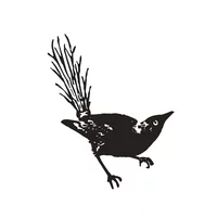 bird-icon.png.webp