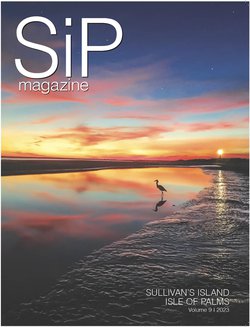 SiP Magazine.png