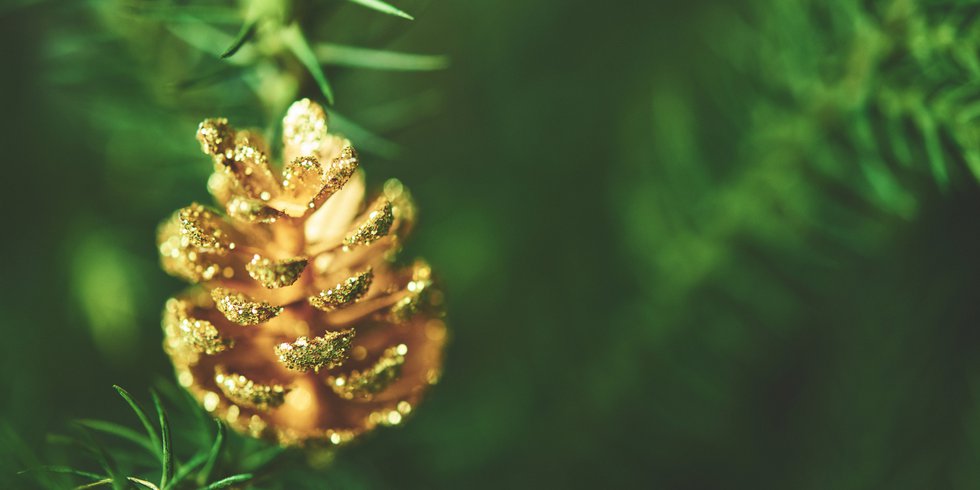 gold dipped pinecones.png