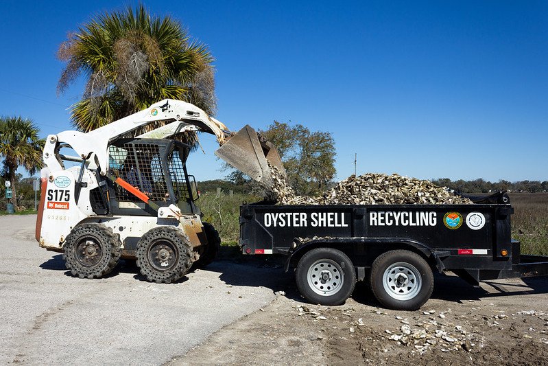 Oyster shell recycling SCDNR.jpg