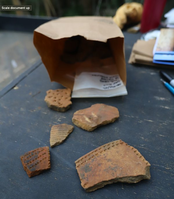 Pottery sherds excavated from the Spanish Mount site in December 2022. Photo courtesy of Meg Gaillard, SCDNR.