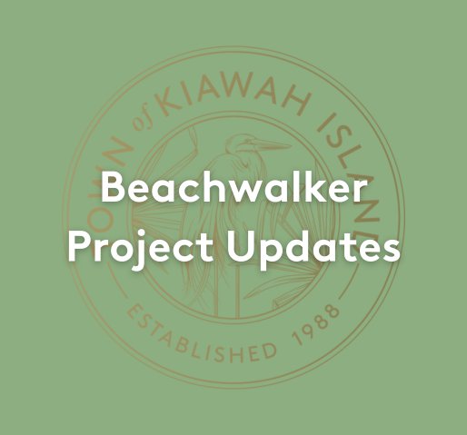 beachwalkerproject.png